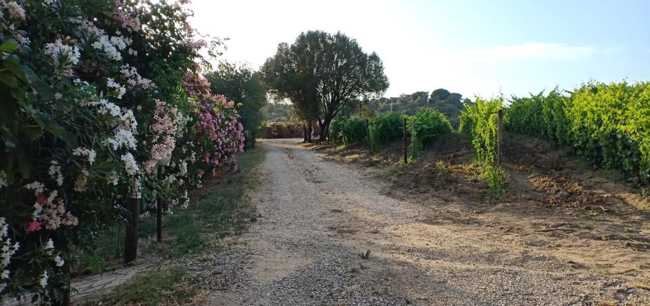 도르갈리 Agriturismo Muristene 빌라 외부 사진