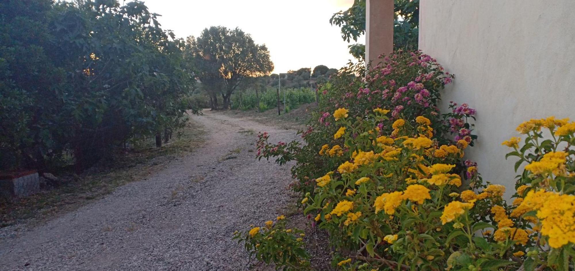 도르갈리 Agriturismo Muristene 빌라 외부 사진